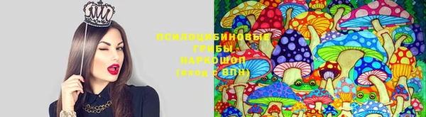 a pvp Дмитров