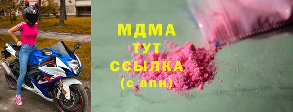 ГАЛЛЮЦИНОГЕННЫЕ ГРИБЫ Дмитриев