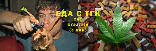 ГАЛЛЮЦИНОГЕННЫЕ ГРИБЫ Дмитриев