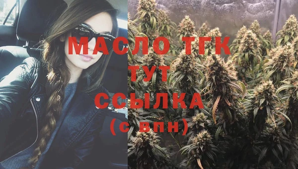 ГАЛЛЮЦИНОГЕННЫЕ ГРИБЫ Дмитриев