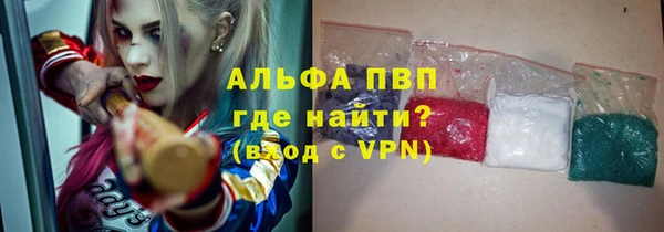 ГАЛЛЮЦИНОГЕННЫЕ ГРИБЫ Дмитриев