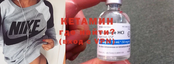 ГАЛЛЮЦИНОГЕННЫЕ ГРИБЫ Дмитриев