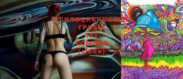 ГАЛЛЮЦИНОГЕННЫЕ ГРИБЫ Дмитриев