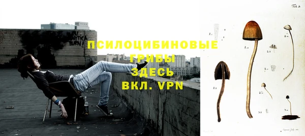 Альфа ПВП Дмитровск