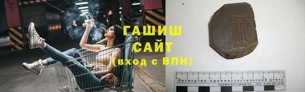 ГАЛЛЮЦИНОГЕННЫЕ ГРИБЫ Дмитриев