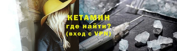 ГАЛЛЮЦИНОГЕННЫЕ ГРИБЫ Дмитриев