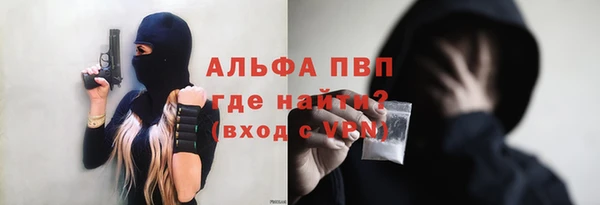 ГАЛЛЮЦИНОГЕННЫЕ ГРИБЫ Дмитриев