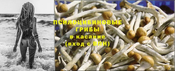 Альфа ПВП Дмитровск