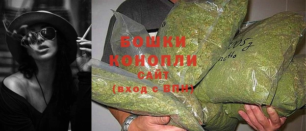 a pvp Дмитров