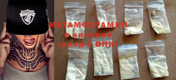 ГАЛЛЮЦИНОГЕННЫЕ ГРИБЫ Дмитриев