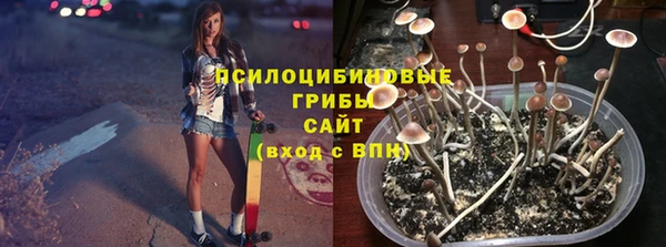 Альфа ПВП Дмитровск