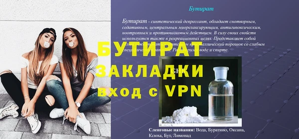 ГАЛЛЮЦИНОГЕННЫЕ ГРИБЫ Дмитриев