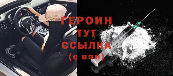 ГАЛЛЮЦИНОГЕННЫЕ ГРИБЫ Дмитриев