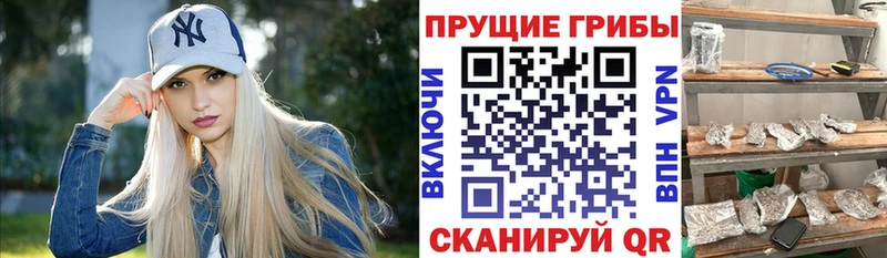 Псилоцибиновые грибы ЛСД  блэк спрут как войти  Дмитриев 