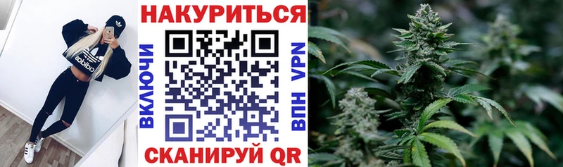 omg ссылка  Дмитриев  Конопля гибрид 